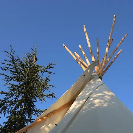 Ferienhaus O Campement Des Possibles Mailhac