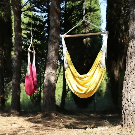 O Campement Des Possibles